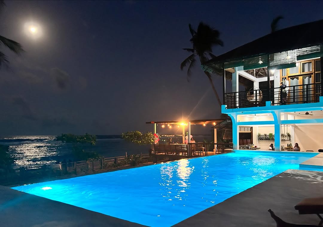 Moonlit night