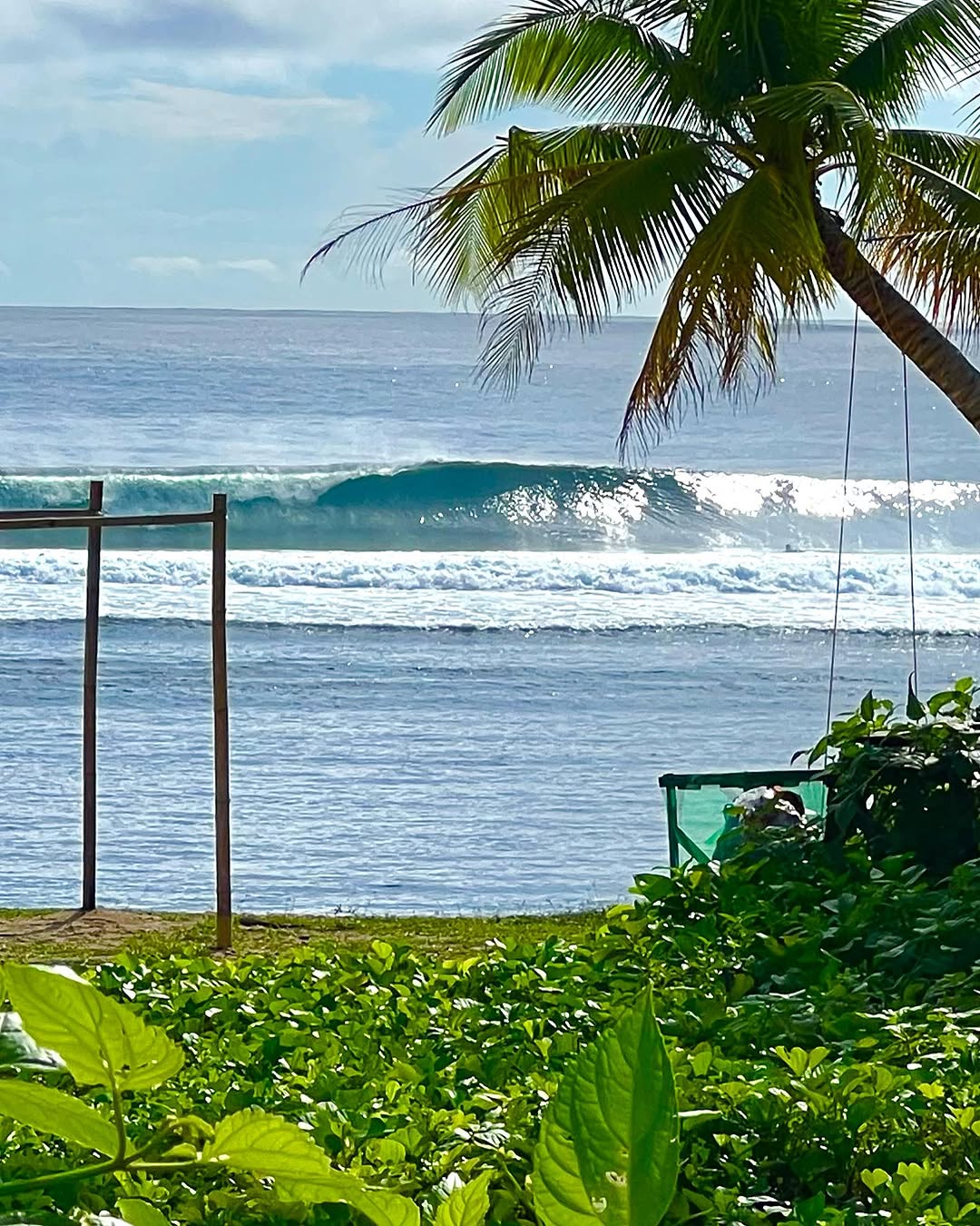 Surfing